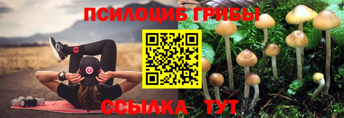 Псилоцибиновые грибы Psilocybe  Галлюциногенные грибы Magic Shrooms  Вход с VPN  Надым 